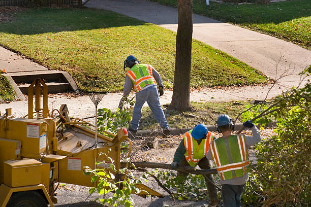 Best Tree Trimming and Pruning  in Ritzville, WA